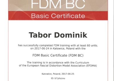 tabor-FDM